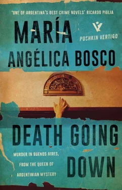 María Bosco Death Going Down обложка книги