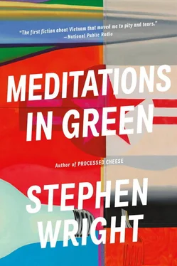 Stephen Wright Meditations in Green обложка книги