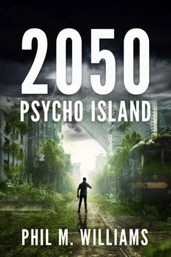 Phil Williams 2050: Psycho Island обложка книги