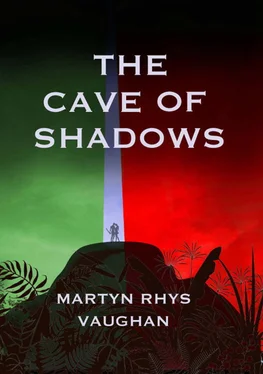 Martyn Vaughan The Cave of Shadows обложка книги