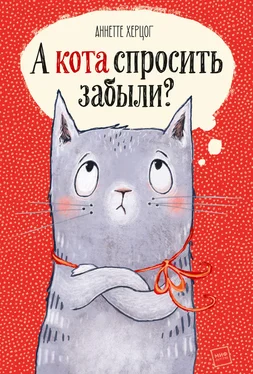 Аннетте Херцог А кота спросить забыли? обложка книги