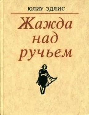 Юлиу Эдлис Жажда над ручьем обложка книги