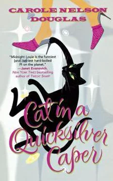 Кэрол Дуглас Cat In A Quicksilver Caper