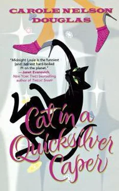 Кэрол Дуглас Cat In A Quicksilver Caper обложка книги