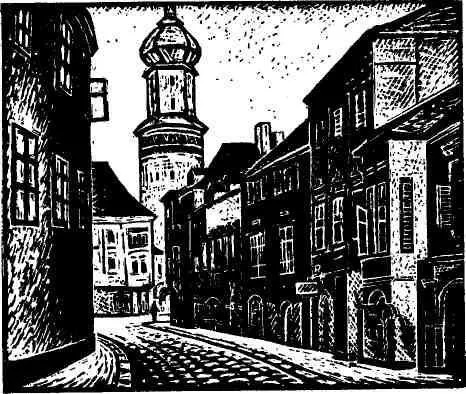 Както на лекции Веребея уже перед самым перерывом Агнеш случайно - фото 10