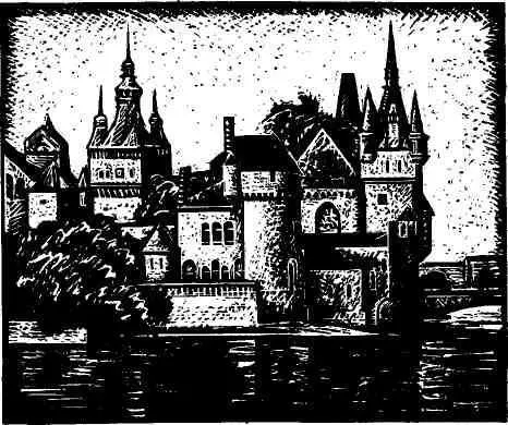 На другой день состоялась первая стычка К двенадцати часам Агнеш должна была - фото 7