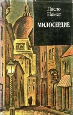 Ласло Немет Милосердие обложка книги