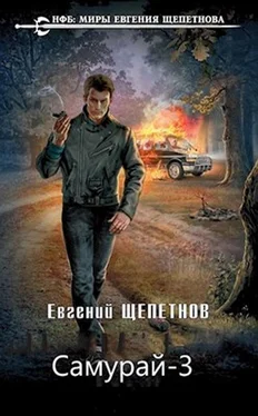 Евгений Щепетнов Время зверей [СИ] обложка книги