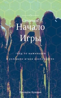 Брамин Виланов Начало Игры [СИ] обложка книги