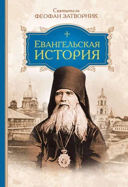 Феофан Затворник Евангельская история обложка книги