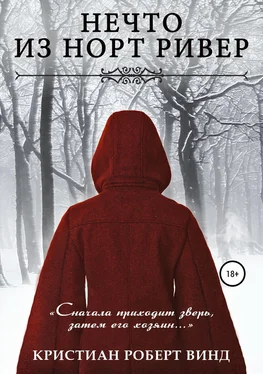 Кристиан Винд Нечто из Норт Ривер [publisher: SelfPub] обложка книги