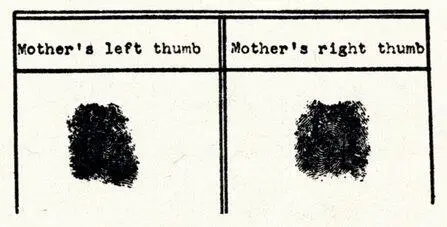 Alice Dreiser I said Thats the mother Prints and all Ive already sent - фото 4