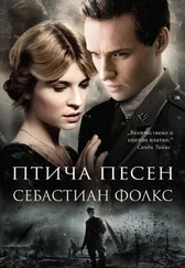 Себастьян Фолкс - Птича песен