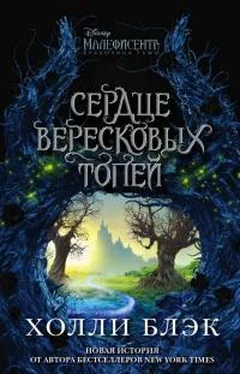 Холли Блэк Малефисента. Сердце вересковых топей обложка книги