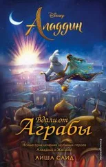 Айша Саид - Аладдин. Вдали от Аграбы