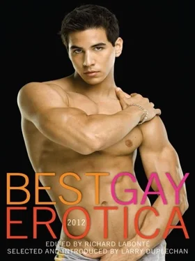 Simon Sheppard Best Gay Erotica 2012 обложка книги