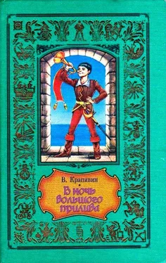 Владислав Крапивин В ночь большого прилива. Повести обложка книги