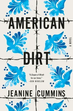 Жанин Камминс American Dirt обложка книги