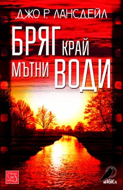 Джо Лансдейл Бряг край мътни води обложка книги