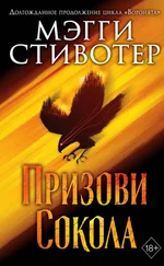 Мэгги Стивотер - Призови сокола [litres]