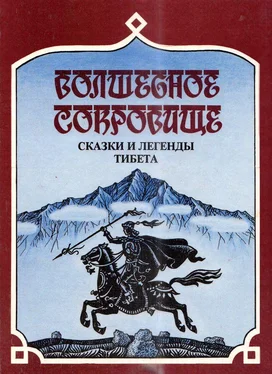 Сергей Комиссаров Волшебное сокровище обложка книги