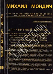 Михаил Мондич - СМЕРШ [Год в стане врага]