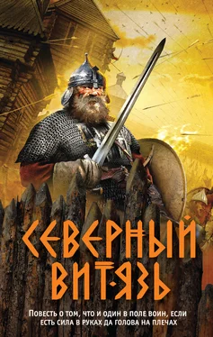 Александр Тамоников Северный витязь [litres] обложка книги