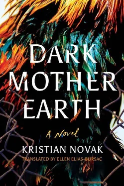 Кристиан Новак Dark Mother Earth обложка книги