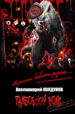 Аполиннарий Колдунов Тамбовский волк [СИ] обложка книги
