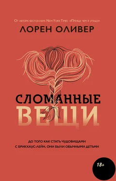 Лорен Оливер Сломанные вещи обложка книги