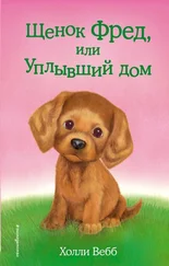 Холли Вебб - Щенок Фред, или Уплывший дом