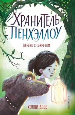 Холли Вебб Дерево с секретом обложка книги