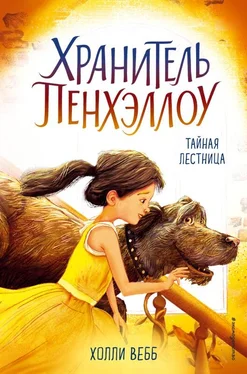 Холли Вебб Тайная лестница обложка книги