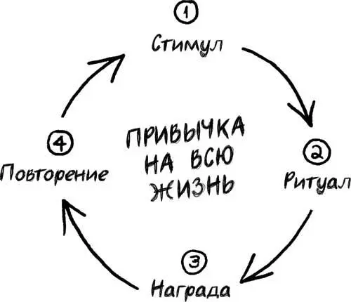 Вот простая и очень наглядная модель которая поможет вам понять как - фото 10
