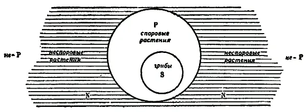 Рис 29 На рисунке круг S означает весь объём логического класса грибы круг - фото 29