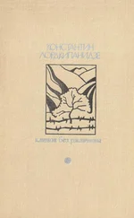 Константин Лордкипанидзе - Клинок без ржавчины