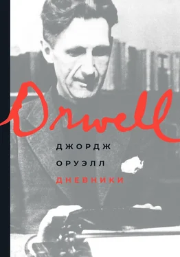 Джордж Оруэлл Дневники обложка книги