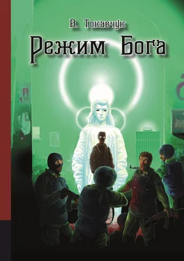 Владимир Токавчук Режим бога [litres] обложка книги