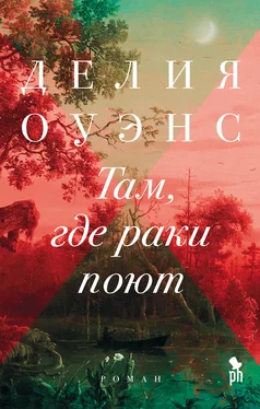 Делия Оуэнс Там, где раки поют обложка книги