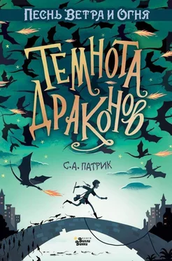 Сет Патрик Темнота драконов [litres] обложка книги