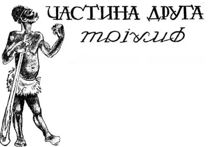 Уже почти полгода под руководством профессора работали сотни туземцев создавая - фото 11