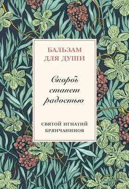 Игнатий Скорбь станет радостью обложка книги