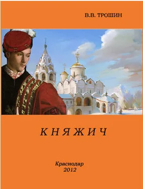 Владимир Трошин Княжич [СИ] обложка книги
