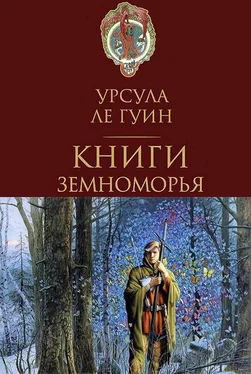 Урсула Ле Гуин Дочь Одрена обложка книги