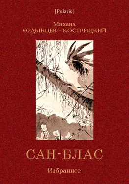 Михаил Ордынцев-Кострицкий Сан-Блас. Избранное обложка книги