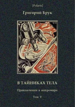 Григорий Брук В тайниках тела (Приключения в микромире. Том VI) обложка книги