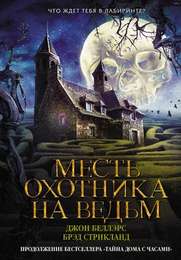 Брэд Стрикланд Месть охотника на ведьм [litres] обложка книги