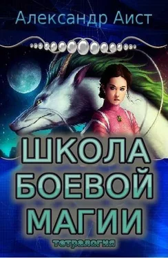 Александр Аист Школа боевой магии (тетралогия) обложка книги