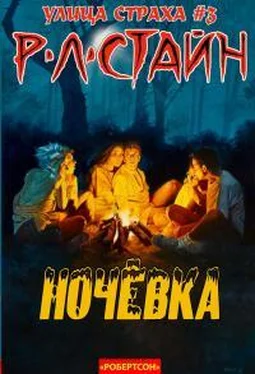 Роберт Стайн Ночевка обложка книги