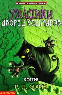 Роберт Стайн Когти! обложка книги